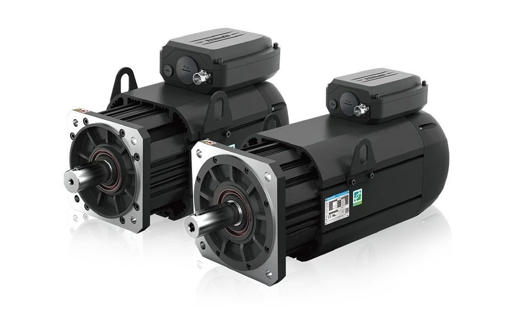 Industrial Motor